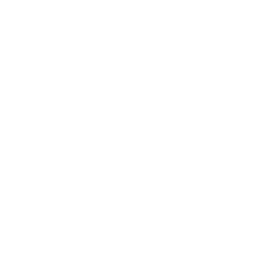 Emergency Shield icon