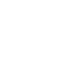 Heat Seeker icon