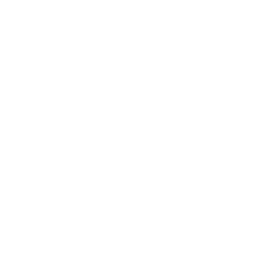 Infinite Ammo icon