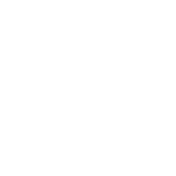 Homing Missile icon
