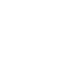 Brawler's Sense icon