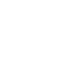 Shields Expert icon