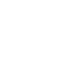 Gearhead icon
