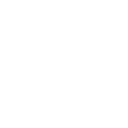 Chemical Hazard icon