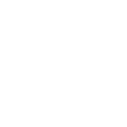 Survival Instinct icon