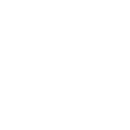 Power to Shields icon