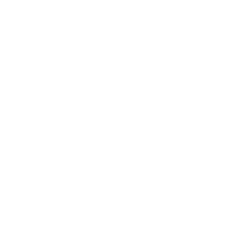 Titan Summoner icon