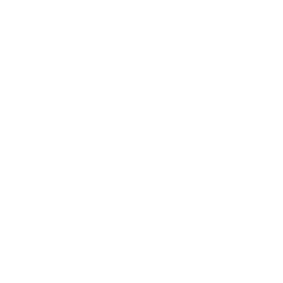 Deflector Gizmo icon